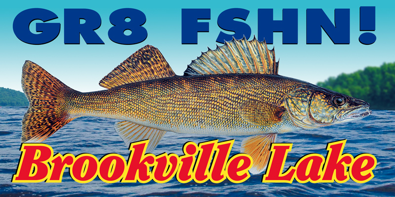 fishBillboardFinal01s