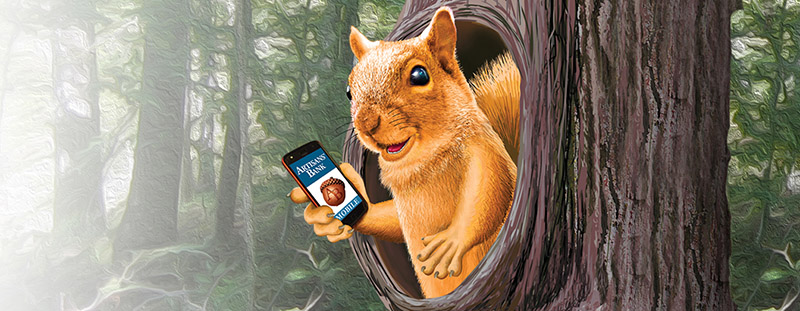 squirrelInTreeW01